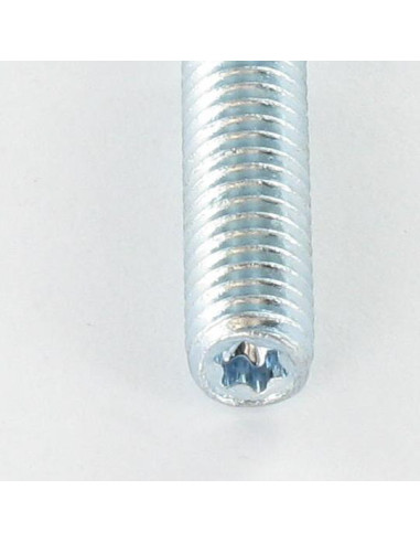 1 x Anclaje extremo roscado Fischer STST TORX...