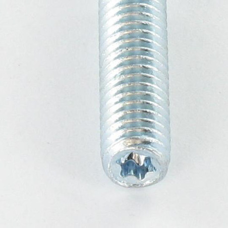 1 x Anclaje extremo roscado Fischer STST TORX T25 Acero cincado blanco 8X80