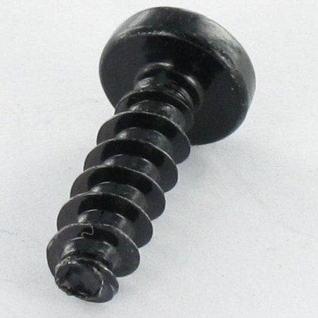 1 x Tornillo pvc cabeza cilíndrica abombada Pozi PZ4 5X16 Acero cincado negro