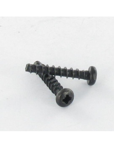 1 x Tornillo pvc TRILOBE cabeza cilíndrica...