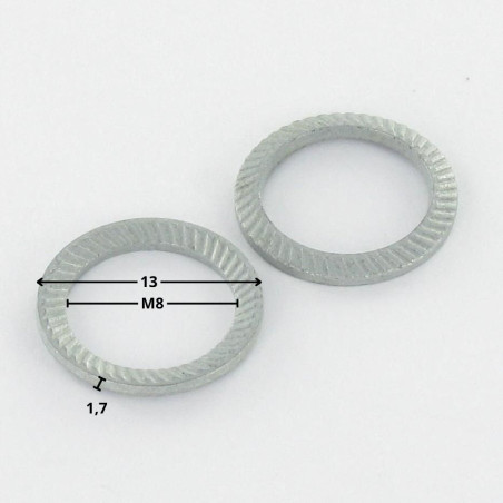 1 x Arandela SCHNORR VS M8X13X1.7 420500 Acero cincado blanco