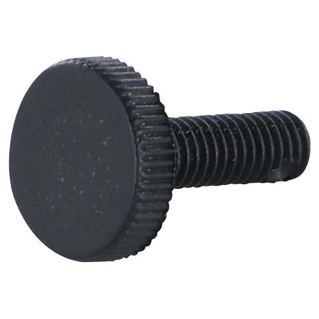 1 x Tornillo metales nylon nero cabeza cilíndrica fresada M6X10