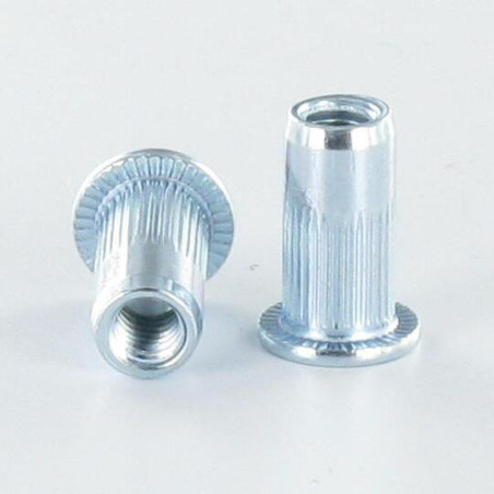 1 x Tuercas Remachables cabeza plana M10X22 ACPC60 Acero cincado blanco