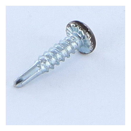 1 x Tornillo autoperforante cabeza cilíndrica abombada phillips 2.9X13 rosca chapa Acero cincado blanco RAL8019 pardo