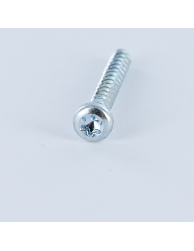 1 x Tornillo pvc cabeza cilíndrica TORX T10...