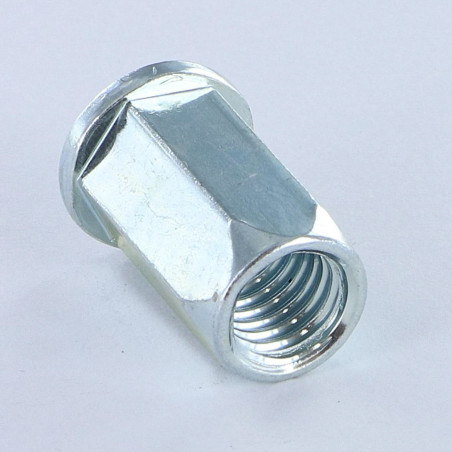 1 x Tuercas Remachables hexagonal cabeza plana M6X13.3 ACPTH 30 Acero cincado blanco