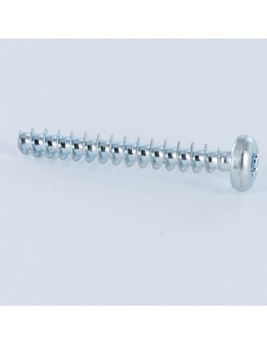 1 x Tornillo pvc cabeza cilíndrica T7 2.5X12...