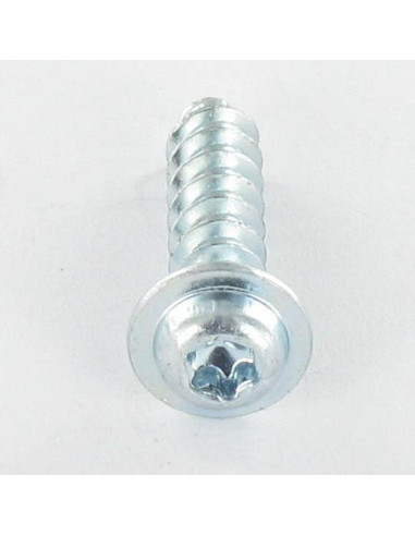1 x Tornillo pvc cabeza cilíndrica T7 2.5X12...