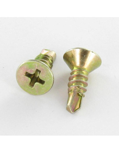 1 x Tornillo autoperforante cabeza...