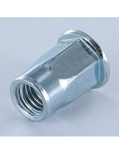 1 x Tuercas Remachables cabeza plana M6X16...
