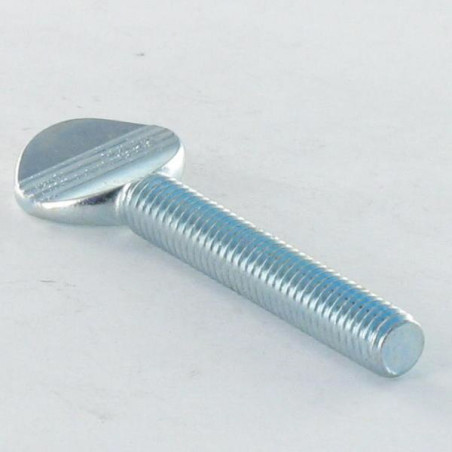1 x Tornillo VIOLÍN M6X30 Acero cincado blanco