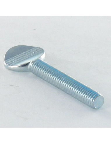 1 x Tornillo VIOLÍN M6X50 Acero cincado blanco