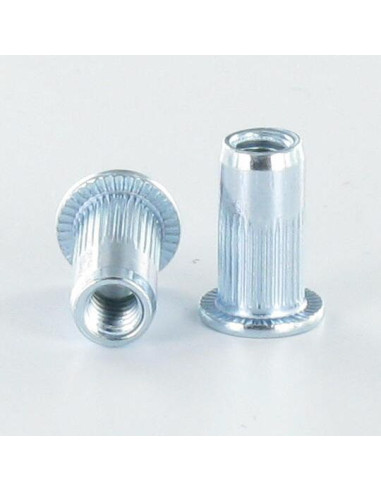 1 x Tuercas Remachables cabeza plana M12X23...