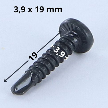 1 x Tornillo autoperforante cabeza cilíndrica abombada phillips 3.9X19 rosca chapa Acero cincado blanco LAQ RAL7016 gris