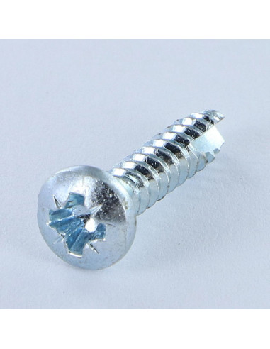 1 x Tornillo pvc cabeza cilíndrica abombada...