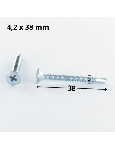 1 x Tornillo autoperforante cabeza...