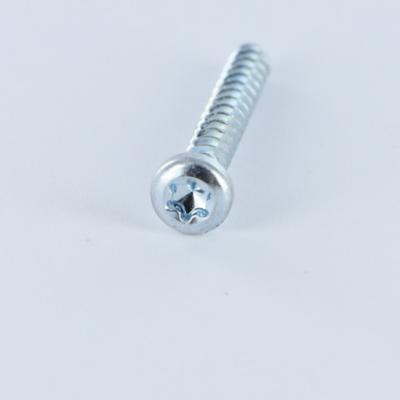 1 x Tornillo pvc cabeza cilíndrica TORX T20 4X16 Acero cincado blanco