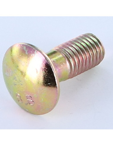 1 x Cabeza redonda cuello cuadrado M12X50...