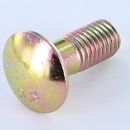 1 x Cabeza redonda cuello cuadrado M12X50 cuello bajo Clase 8.8 Acero cincado blanco 200 Horas niebla salina sin óxido