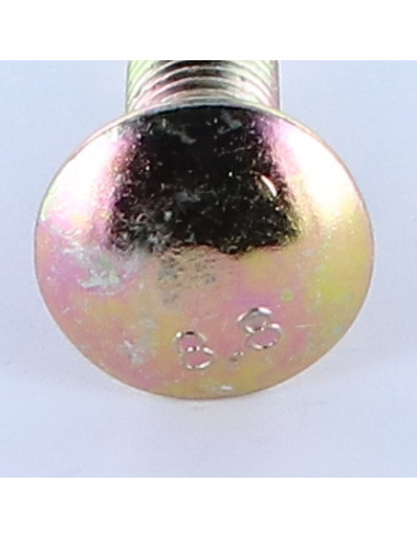1 x Cabeza redonda cuello cuadrado M12X50...