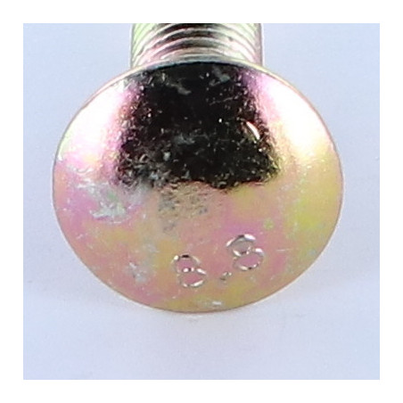 1 x Cabeza redonda cuello cuadrado M12X50 cuello bajo Clase 8.8 Acero cincado blanco 200 Horas niebla salina sin óxido