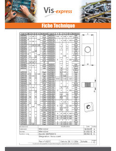 Tuerca cuadrada M10 17X17X8 Acero cincado blanco 2