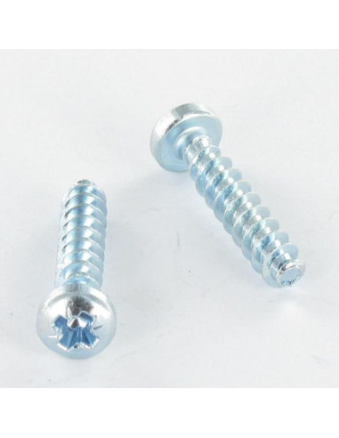 1 x Tornillo PVC cabeza cilíndrica abombada...