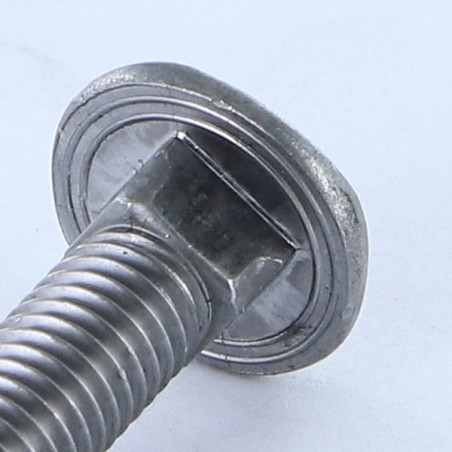 1 x Cabeza redonda cuello cuadrado cabeza DIAMANTE M8X60 Acero bruto