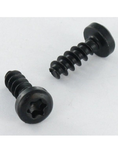 1 x Tornillo pvc cabeza cilíndrica TORX T10...