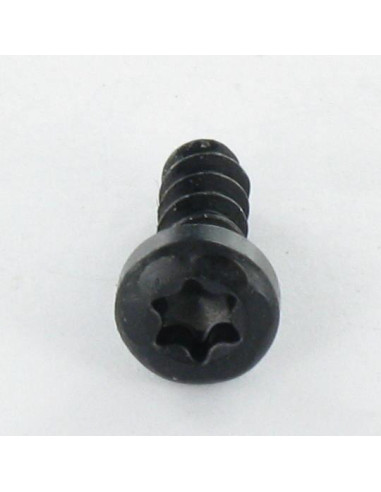 1 x Tornillo pvc cabeza cilíndrica TORX T10...