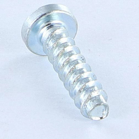 1 x Tornillo pvc TRILOBE cabeza cilíndrica abombada TORX T15 4X16 Varilla roscada 45 Acero cincado blanco