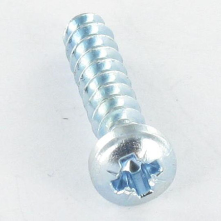 1 x Tornillo pvc cabeza cilíndrica abombada Pozi PZ4 4X20 Varilla roscada 30 GRADOS Acero cincado blanco