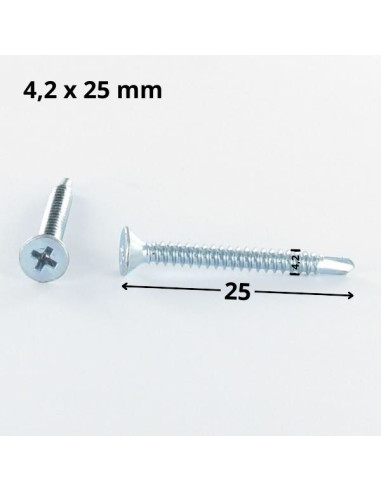 1 x Tornillo autoperforante cabeza...