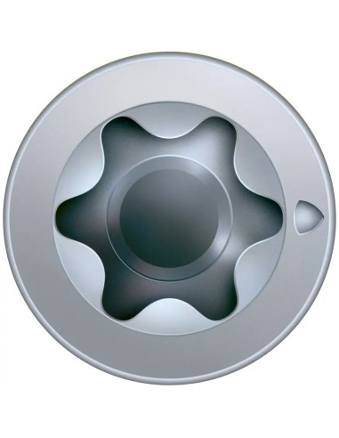 1 x Spax Tornillo para CHASIS PVC 7.5X40 TORX...