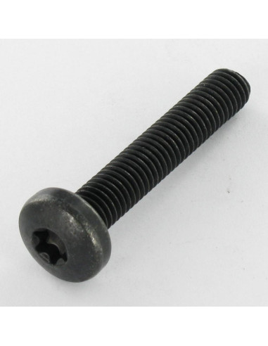 1 x Tornillo metales cabeza abombada TORX T40...