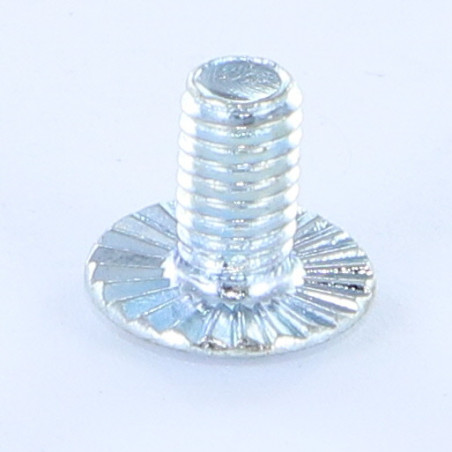 1 x Tornillo metales cabeza abombada ranura resalto reborde dentado M6X10 Clase 8.8 Acero cincado blanco
