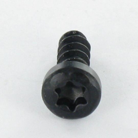 1 x Tornillo pvc cabeza cilíndrica TORX T10 3X10 Acero cincado negro microtornillo