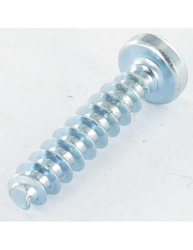 1 x Tornillo pvc cabeza cilíndrica abombada...