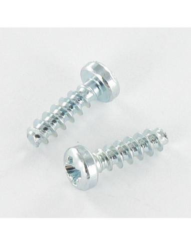 1 x Tornillo pvc cabeza cilíndrica abombada...