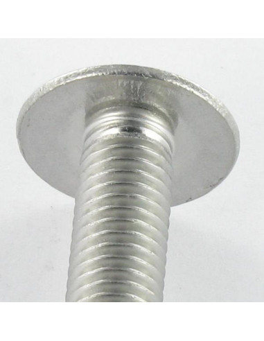 1 x Tornillo poelier cabeza redonda ancha...