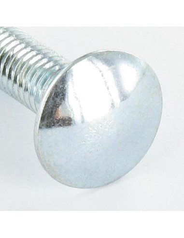 1 x Cabeza redonda cuello cuadrado M6X12 cuello...