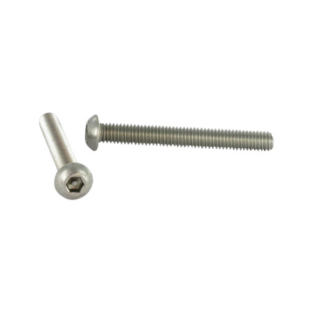 1 x Tornillo metales Seguridad Cabeza Abombada con Hueco hexagonal con tetón M10X40 Inoxidable A2