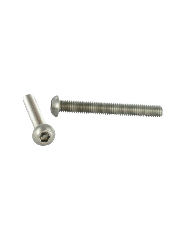 1 x Tornillo metales Seguridad Cabeza Abombada...