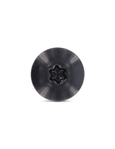 1 x Tornillo de fachada TORX T20 5.5X32...