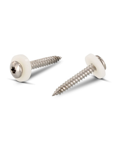1 x Tornillo chapa cabeza cilíndrica TORX T15 +...