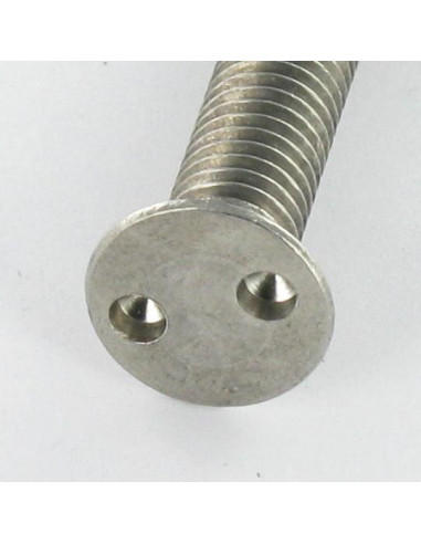 1 x Tornillo metales Seguridad cabeza...