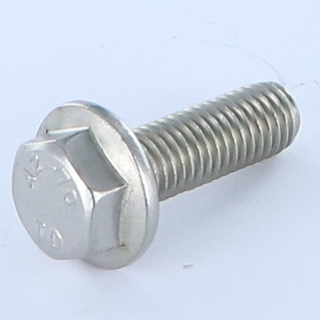 1 x Tornillo metales cabeza hexagonal resalto liso M10X25 Inoxidable A2