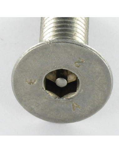 1 x Tornillo metales Inoxidable A2 Seguridad...
