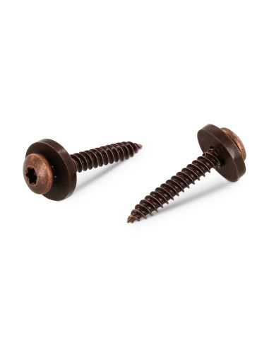 1 x Tornillo chapa cabeza cilíndrica TORX T15 +...