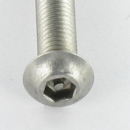 1 x Tornillo metales Seguridad Cabeza Abombada con Hueco hexagonal con tetón M8X16 Inoxidable A2